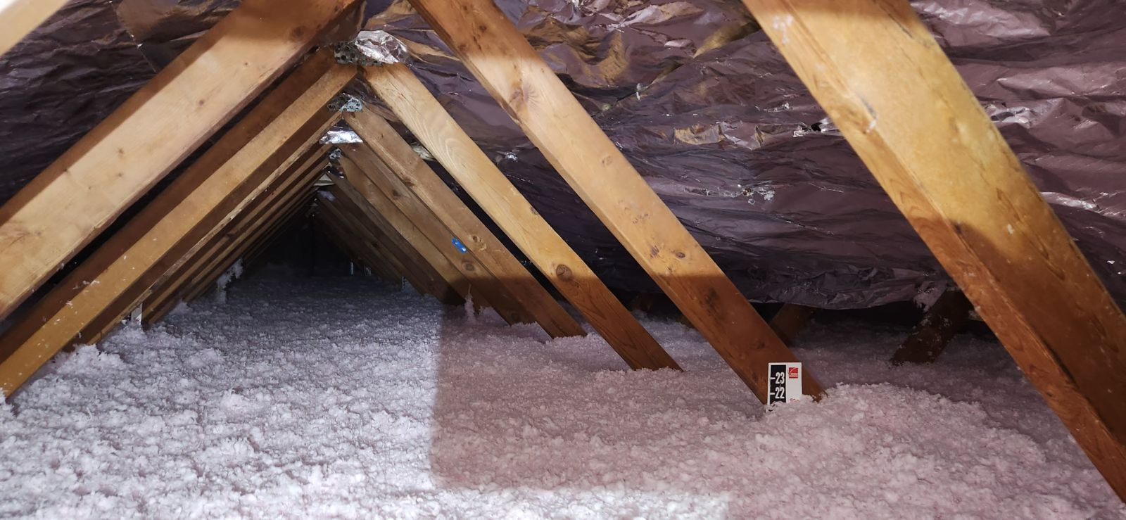 Attic 1